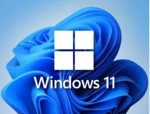 Windows 11 16in1 +/- Office 2019 x86 by SmokieBlahBlah 2021.10.10 скачать торрент